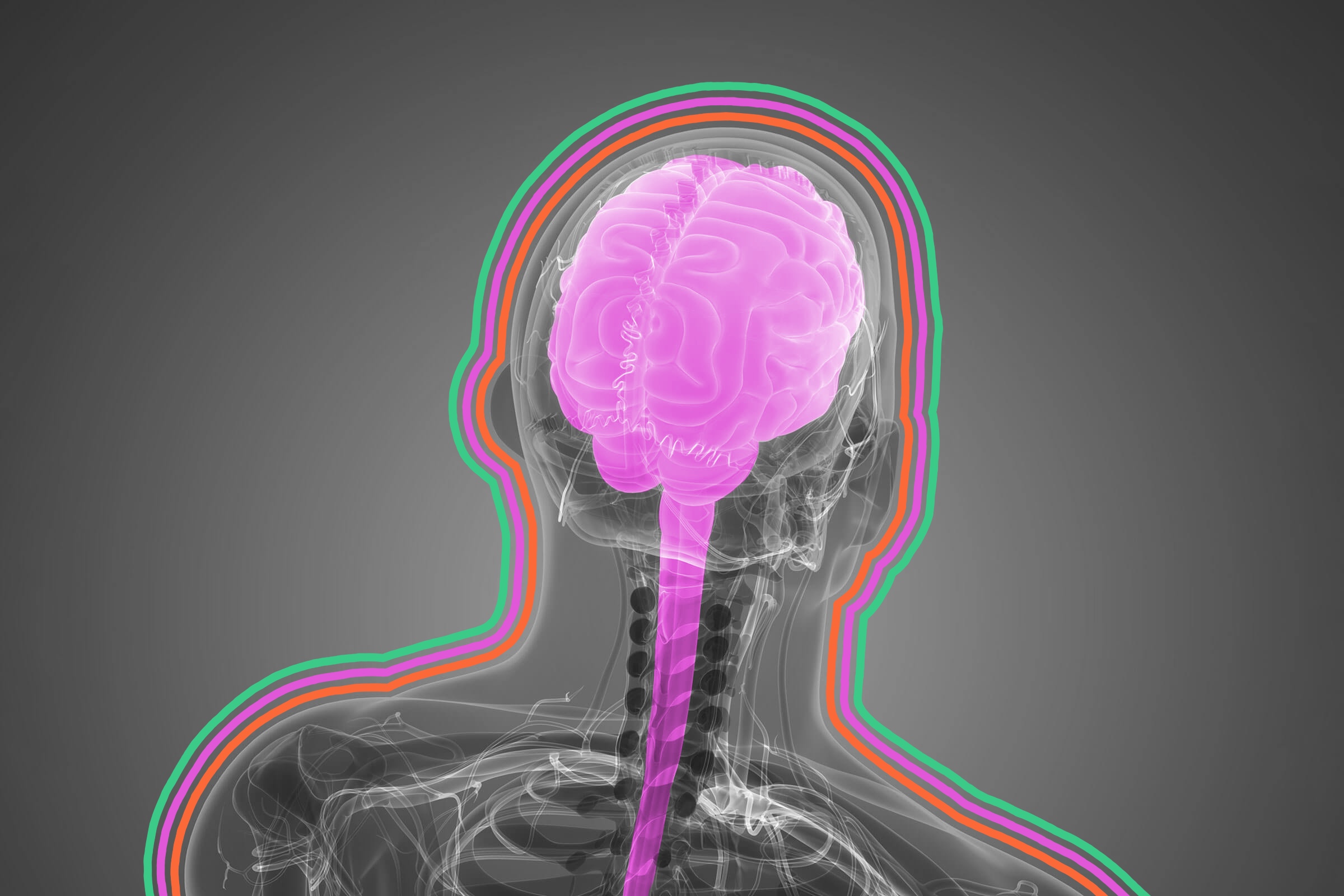 Information from your central nervous system travels at up to 268 mph.