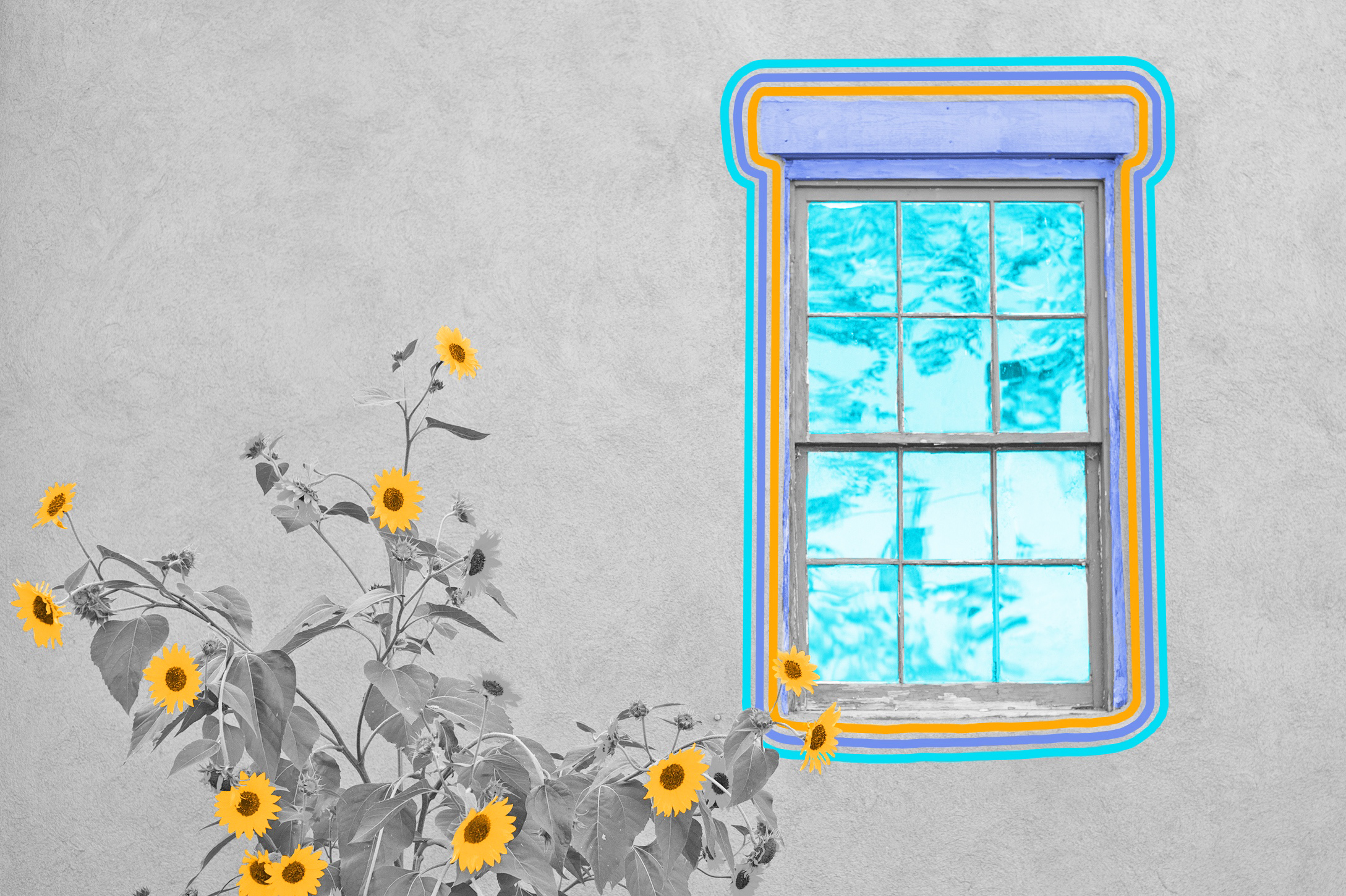 Britain used to have a special tax on windows.