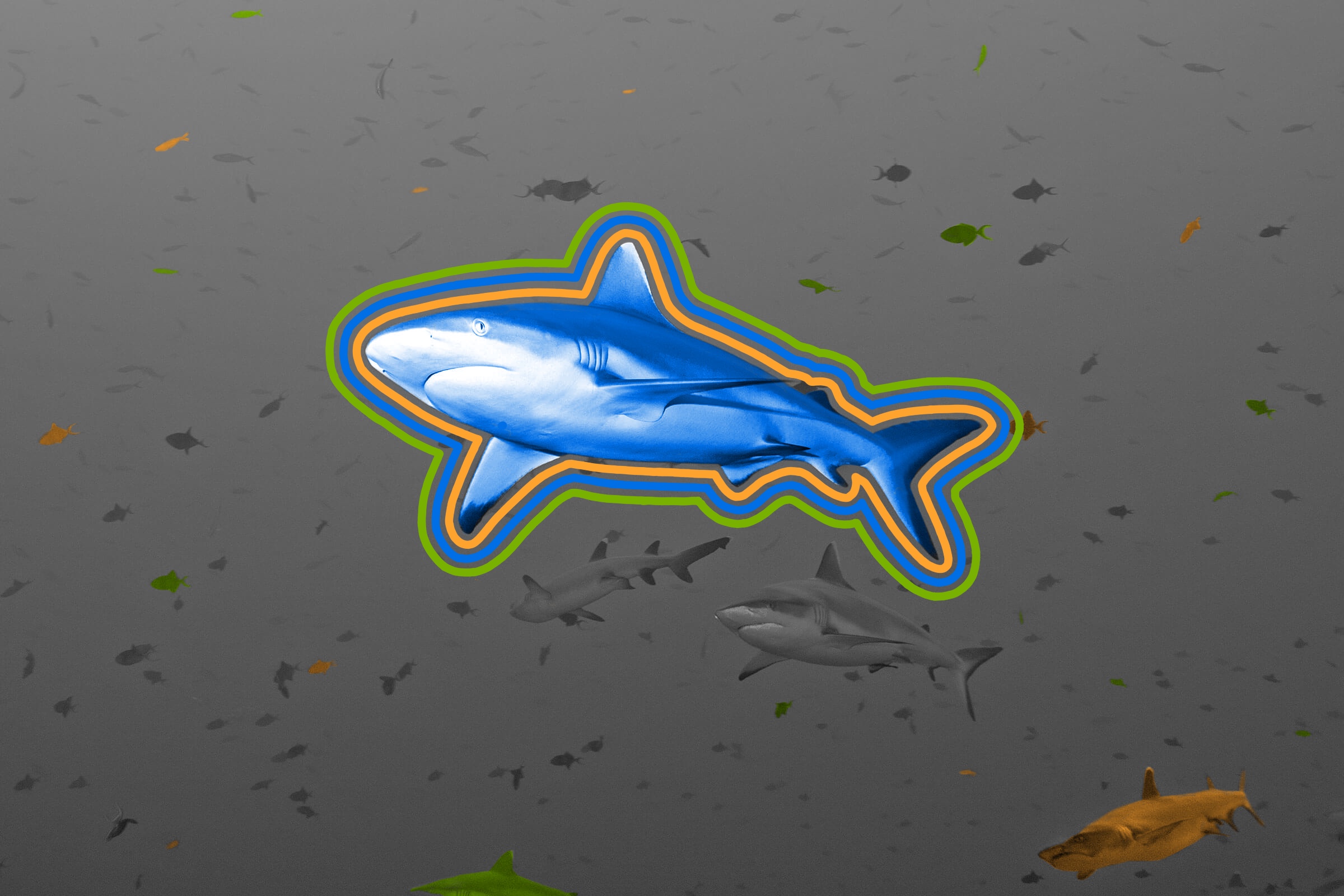 Sharks have been on Earth longer than trees.