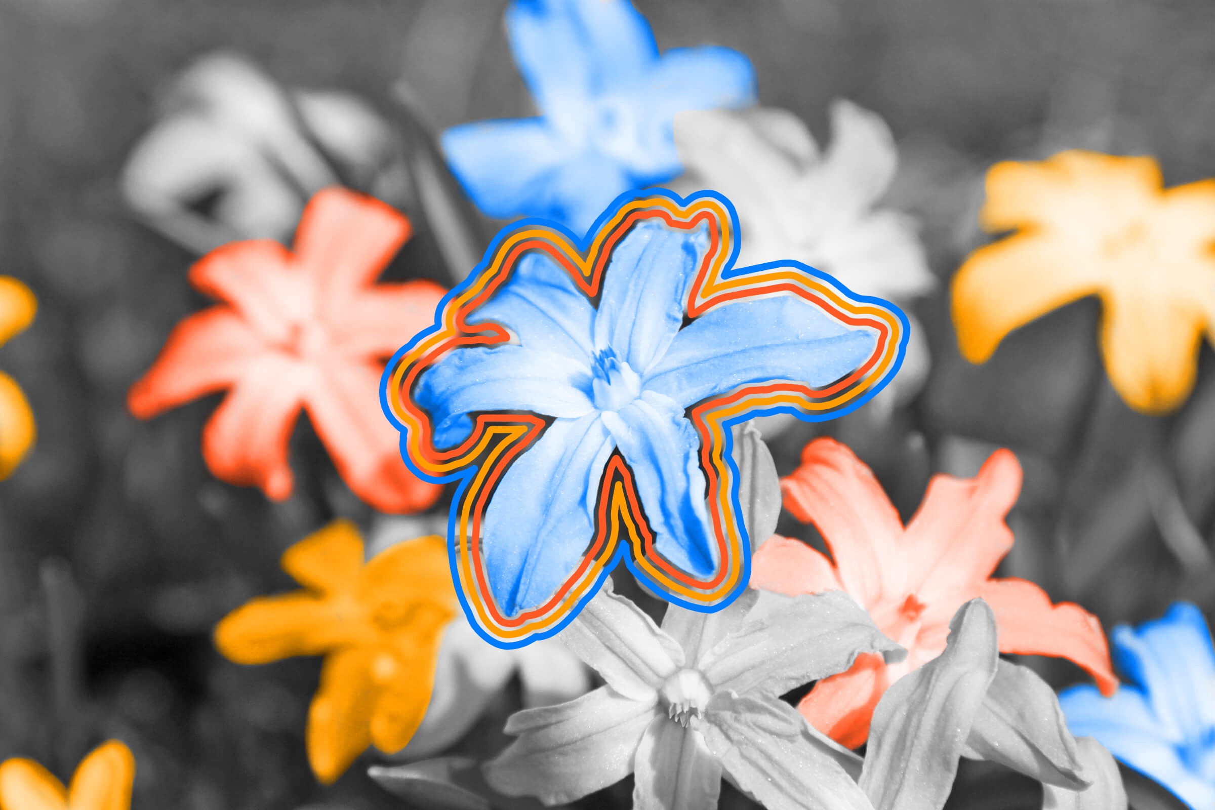 Memorial Day’s date was first chosen because it was when flowers would be in full bloom.