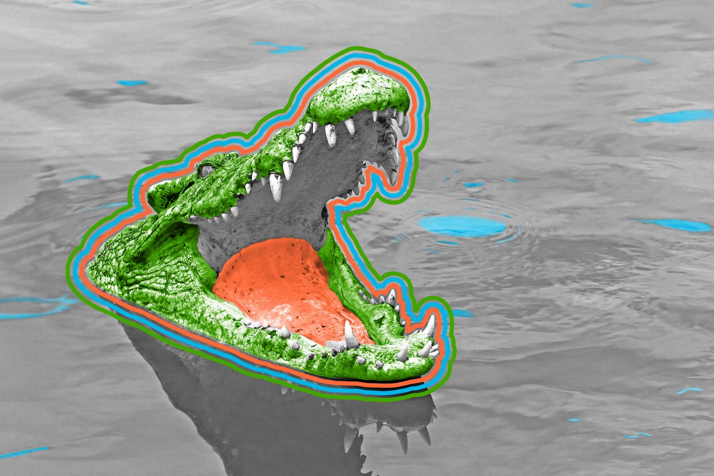 Crocodiles can’t stick out their tongues.