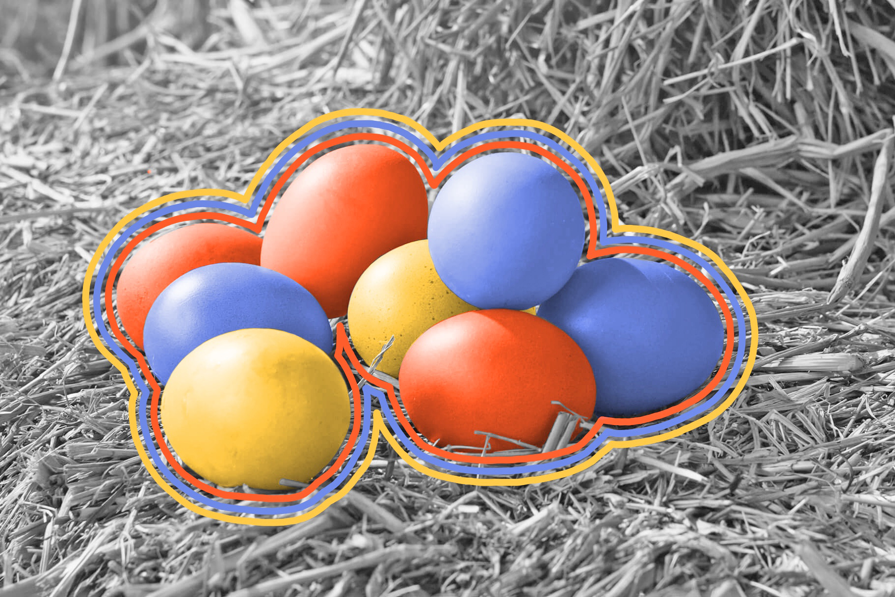 The world’s only egg-laying mammals live in Australia and New Guinea.