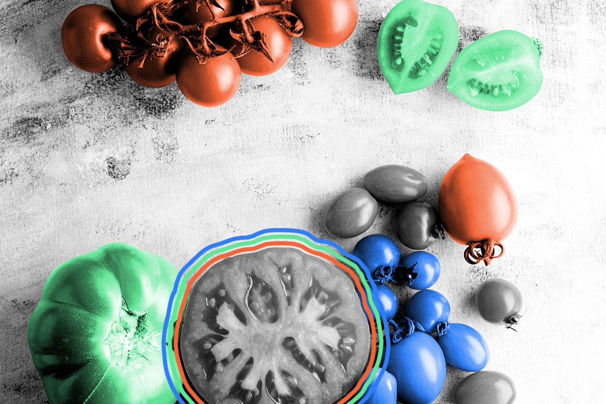 Tomatoes have more genes than humans.