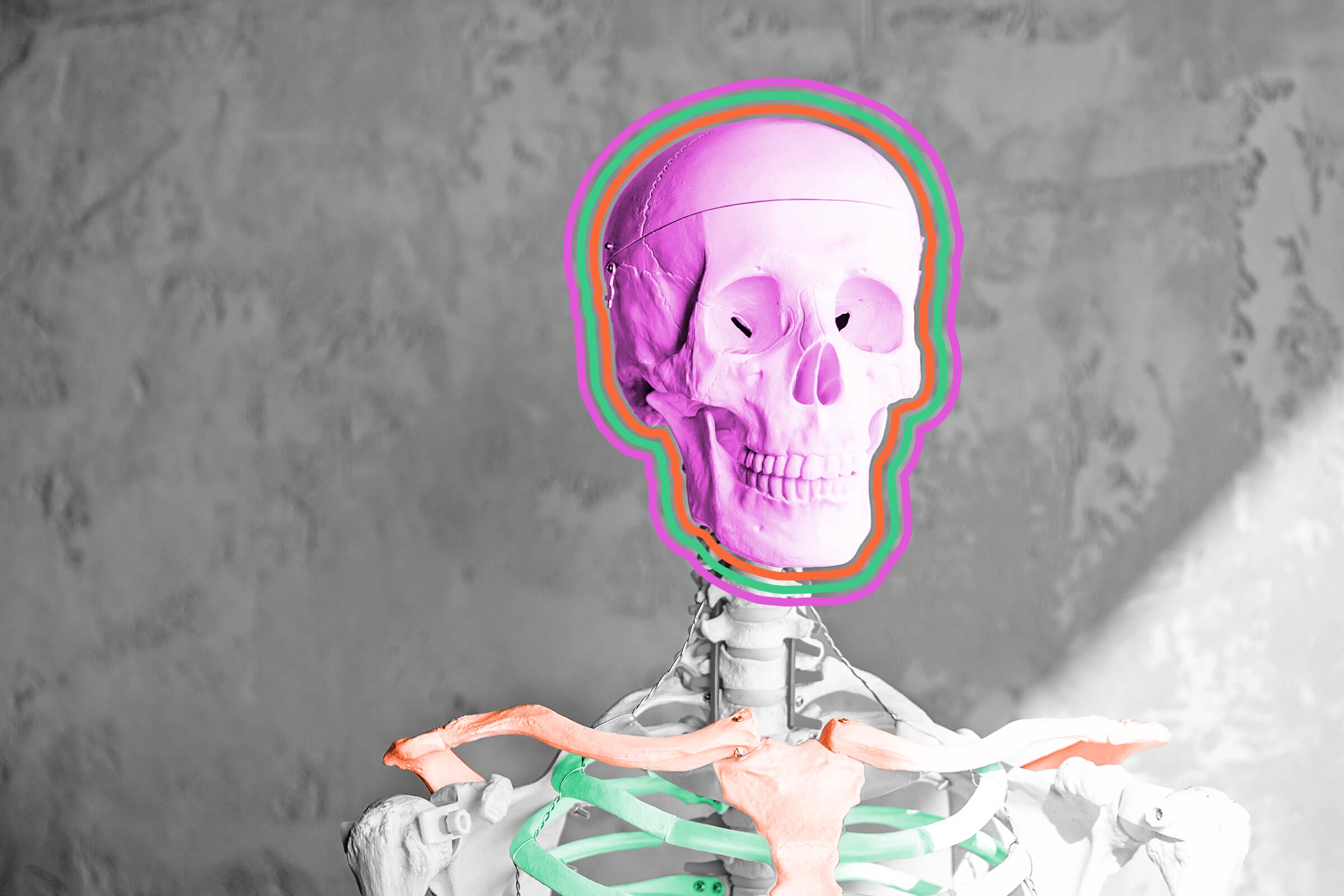 The human skull never fully stops growing.