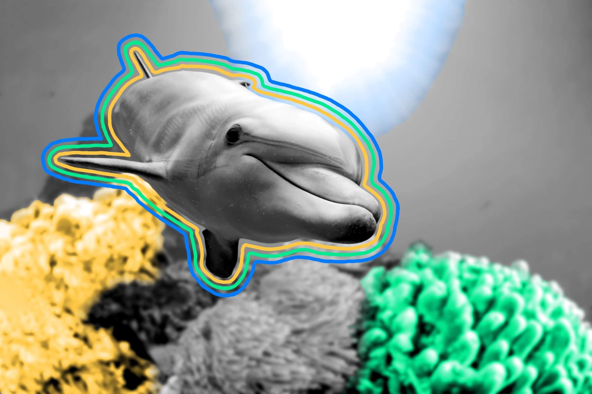 Dolphins sleep with one eye open.