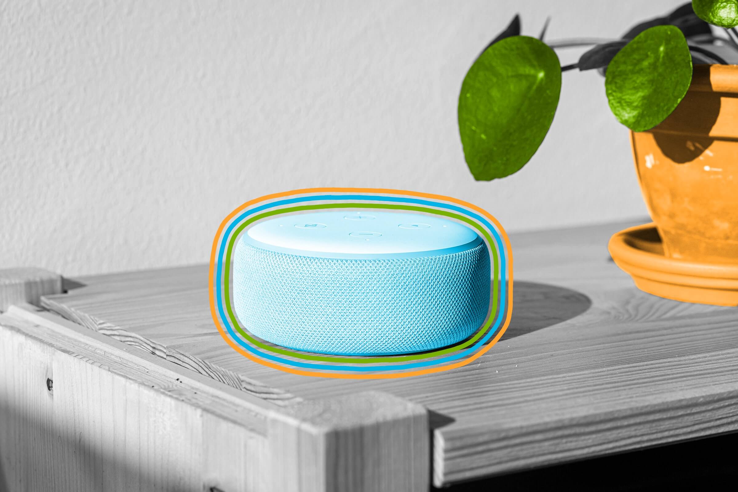 The name for Amazon’s Alexa was inspired by the Library of Alexandria.