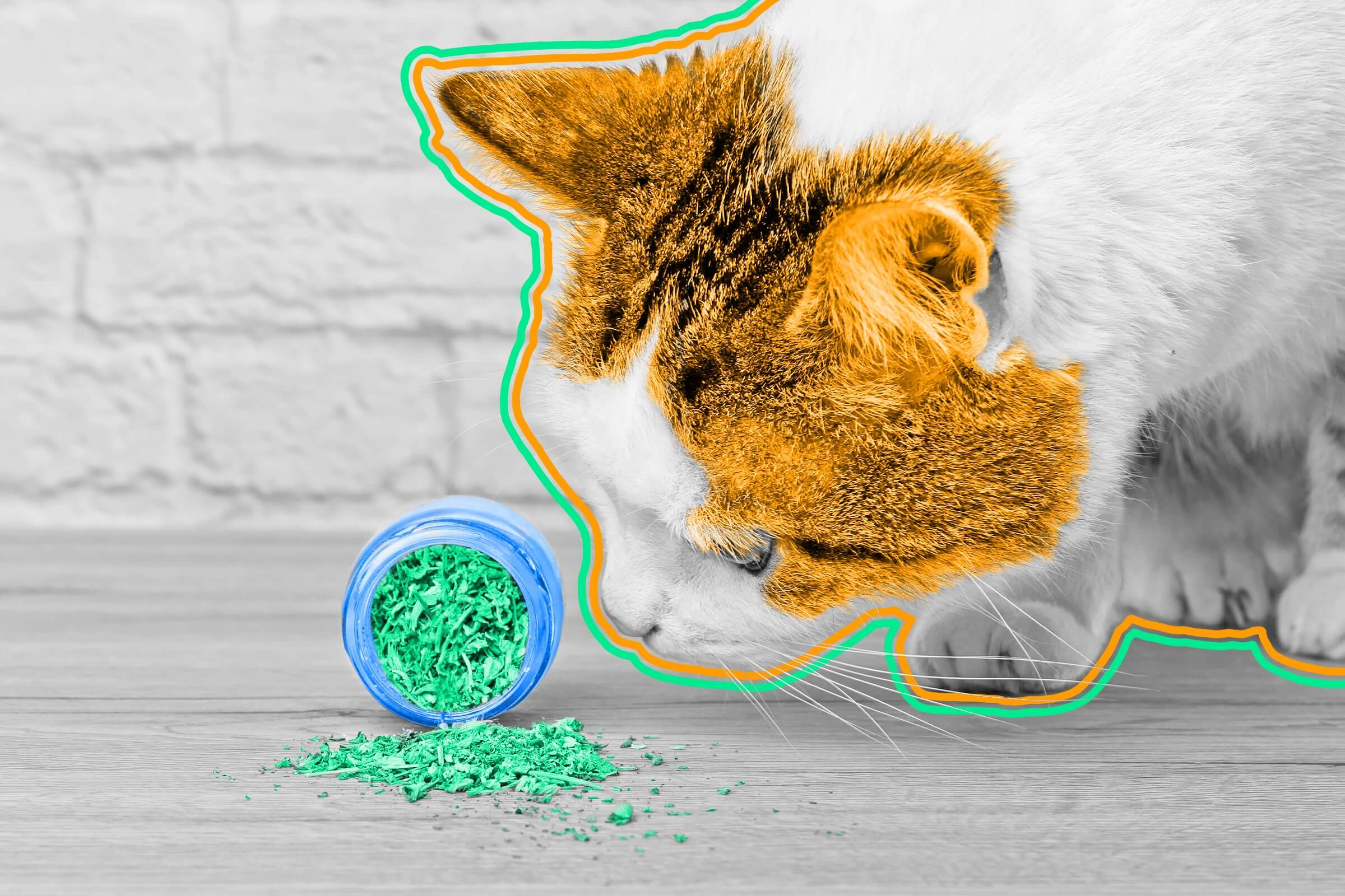 Catnip actually repels mosquitos from cats.