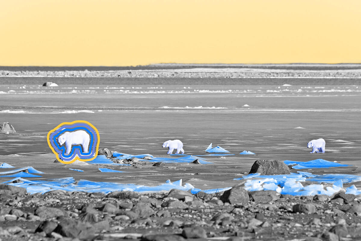 Gravity in Canada’s Hudson Bay area is weaker than in other parts of the world.