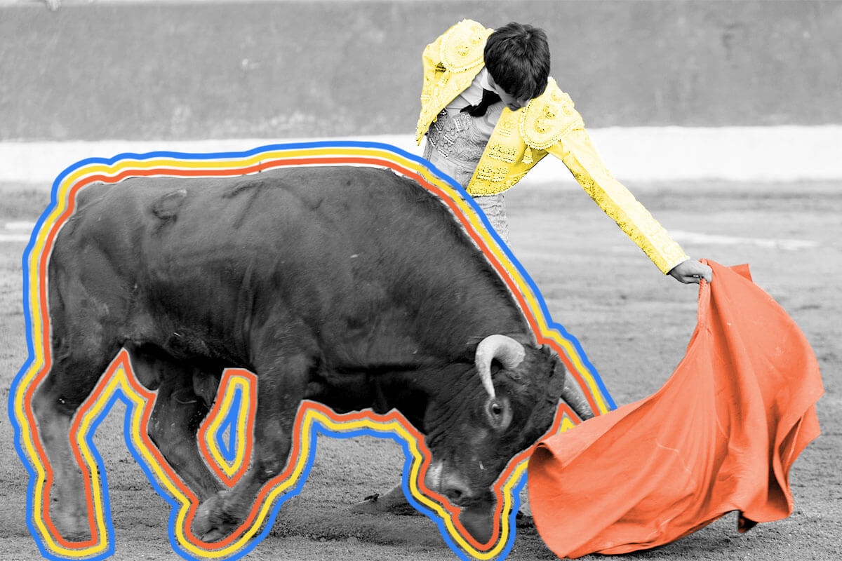 Bulls can’t actually see the color red.