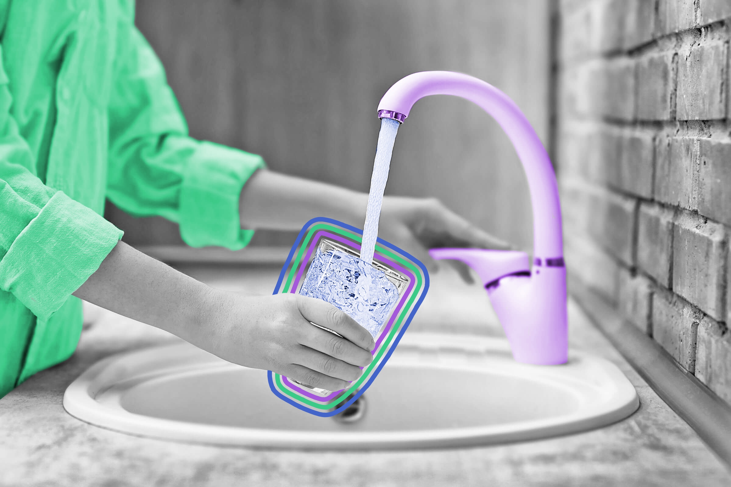 New York City tap water contains microscopic crustaceans.