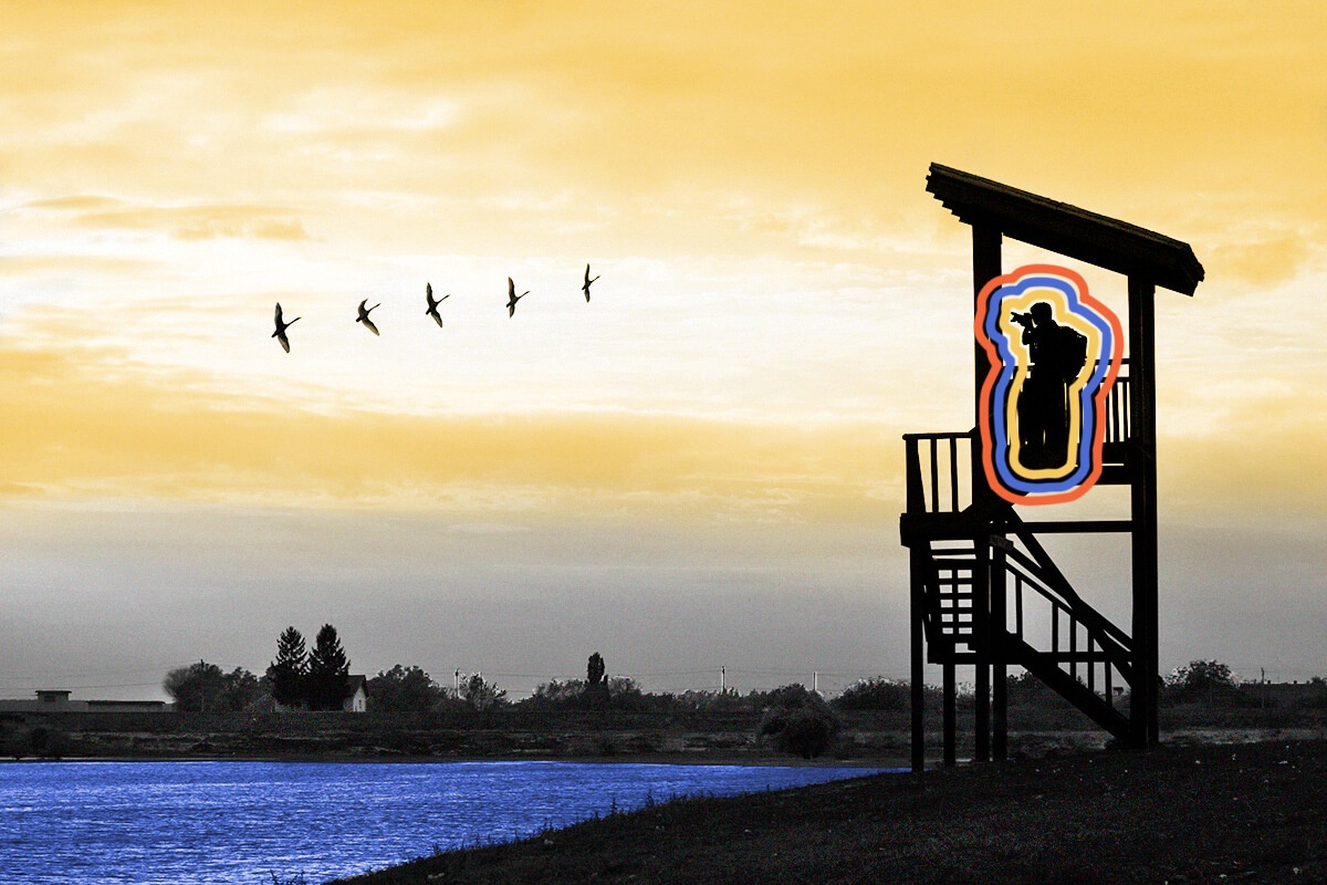 Ian Fleming took the name “James Bond” from an American bird expert.