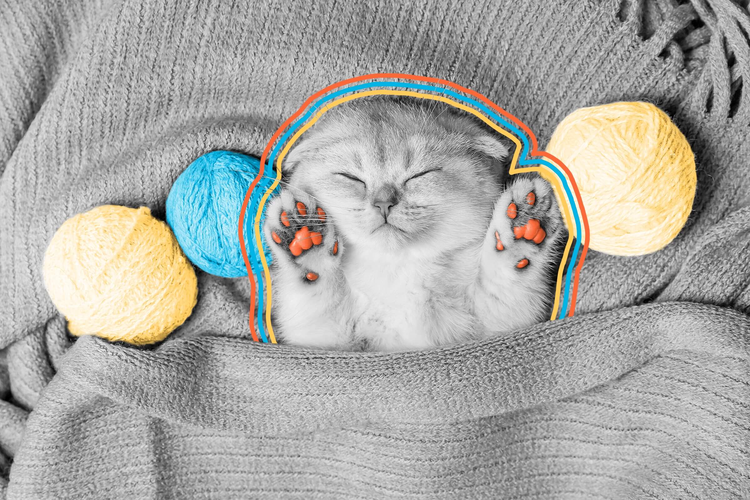 Cats sleep around 15 hours per day.