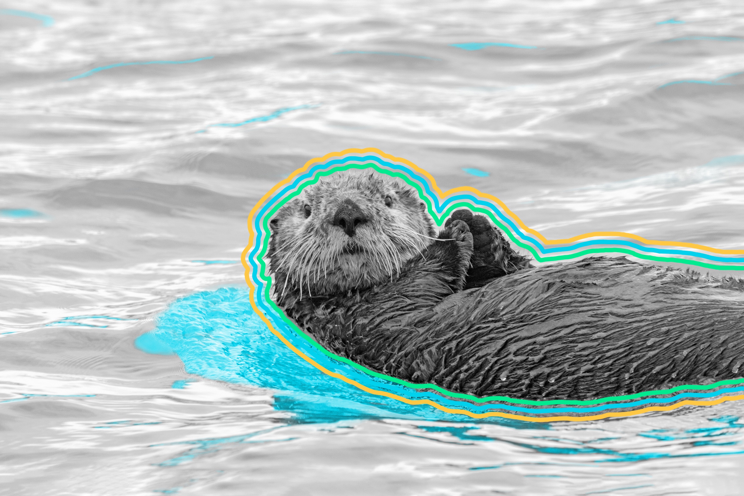 Sea otters have the thickest fur of any mammal.
