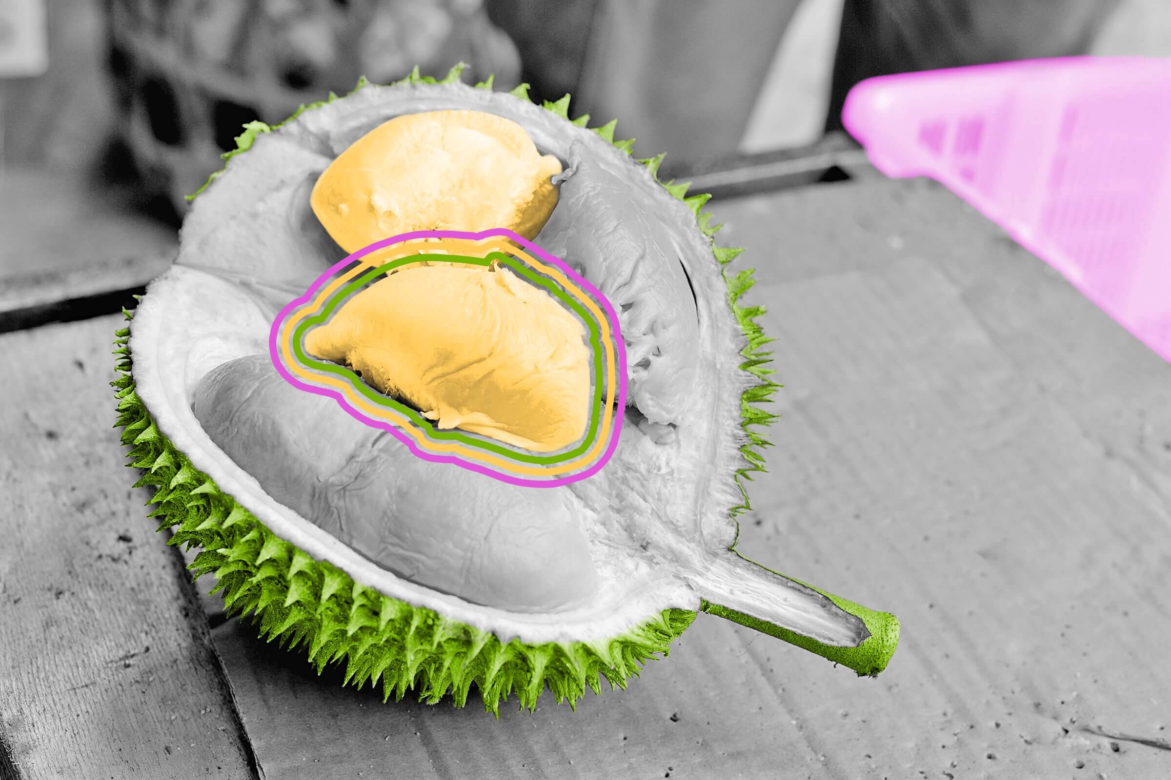 Durian fruit is banned on public transportation in Singapore.