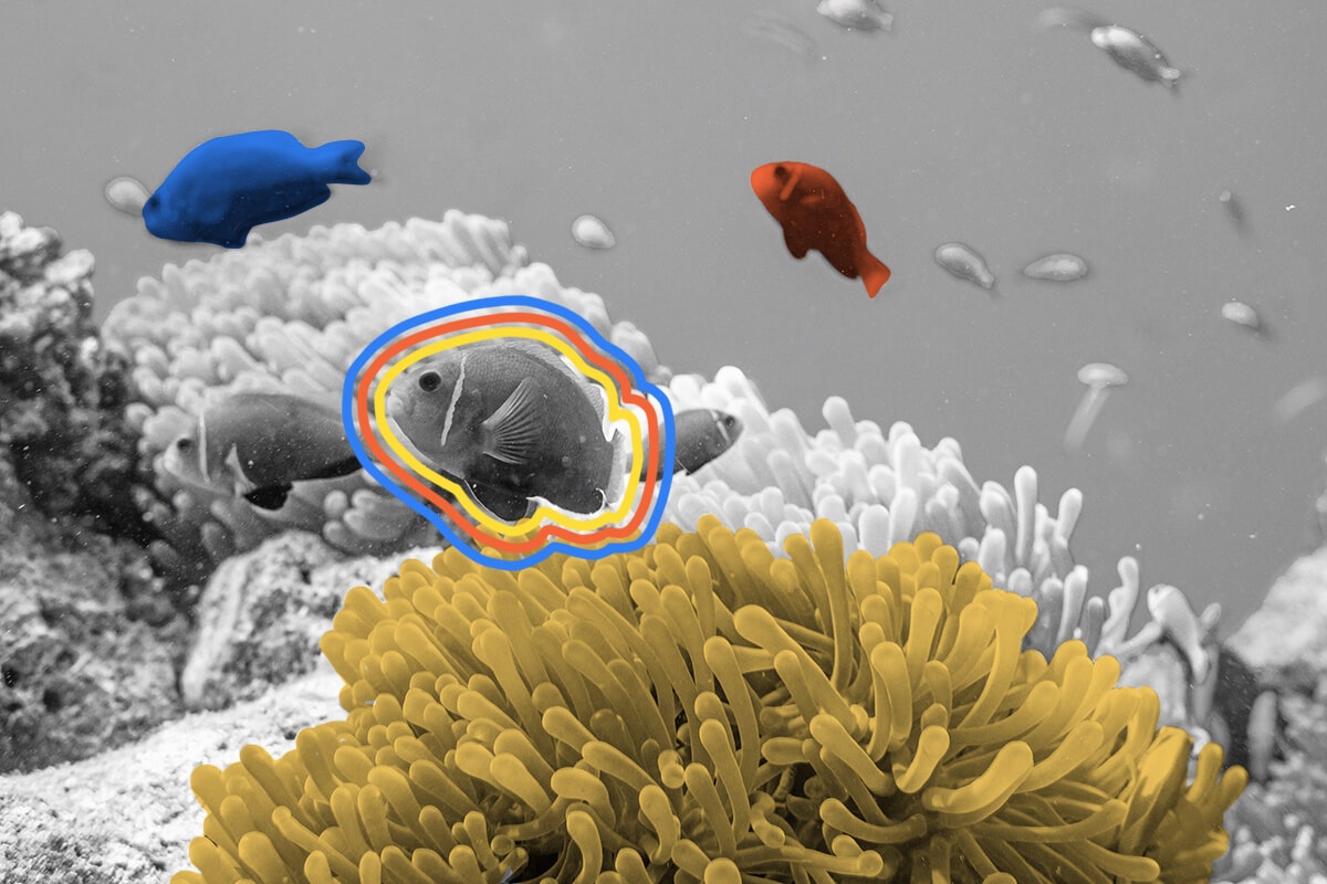 Only 27% of the ocean’s floor has been mapped in detail.