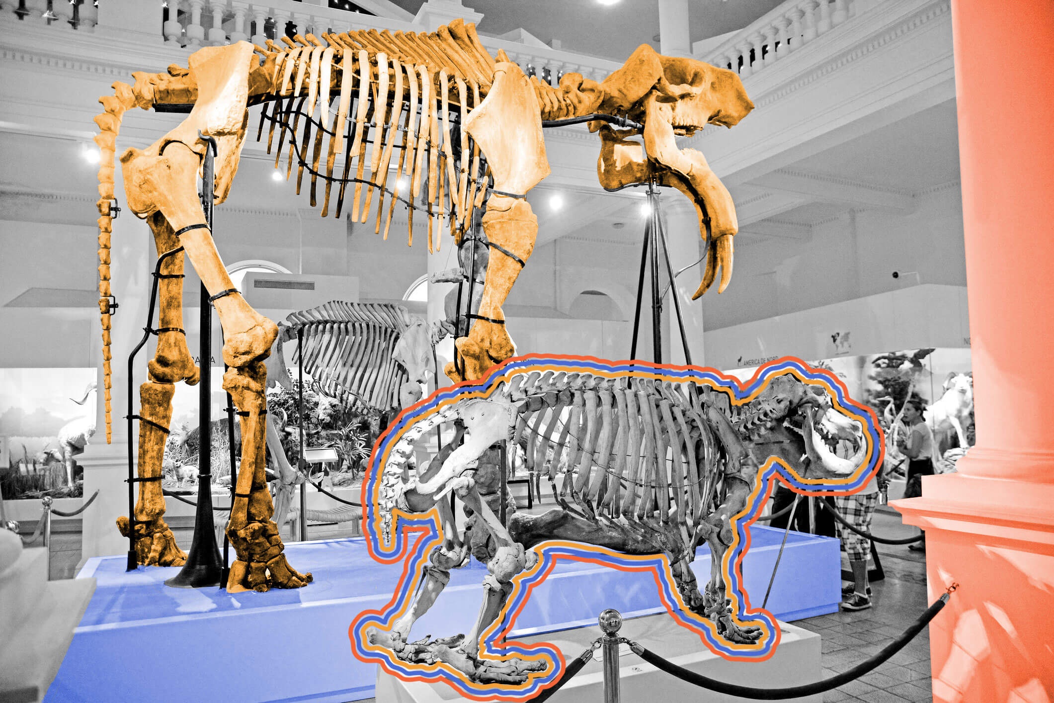 ‘Dinosaur’ comes from Greek words that mean ‘terrible lizard.’