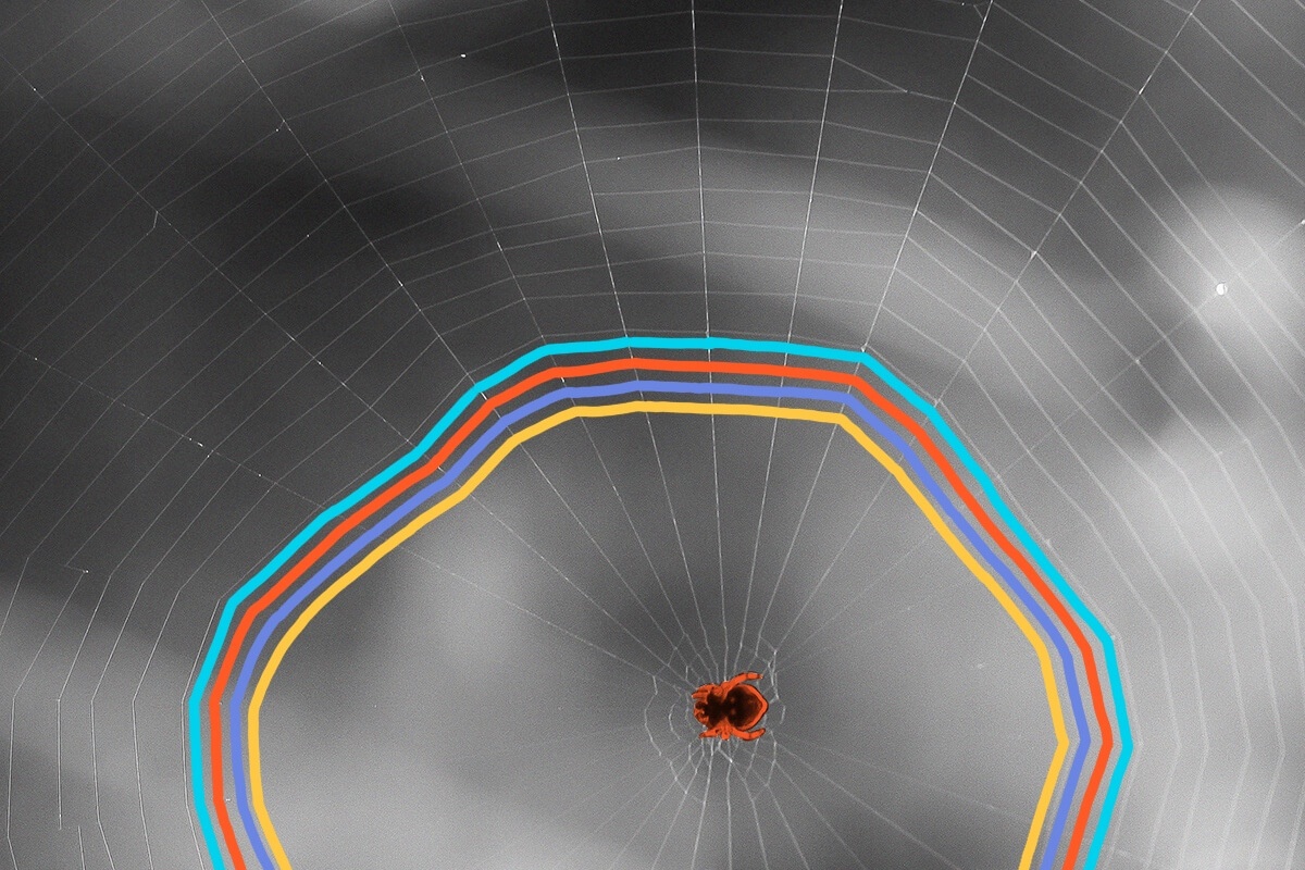 Spider silk is stronger than steel.