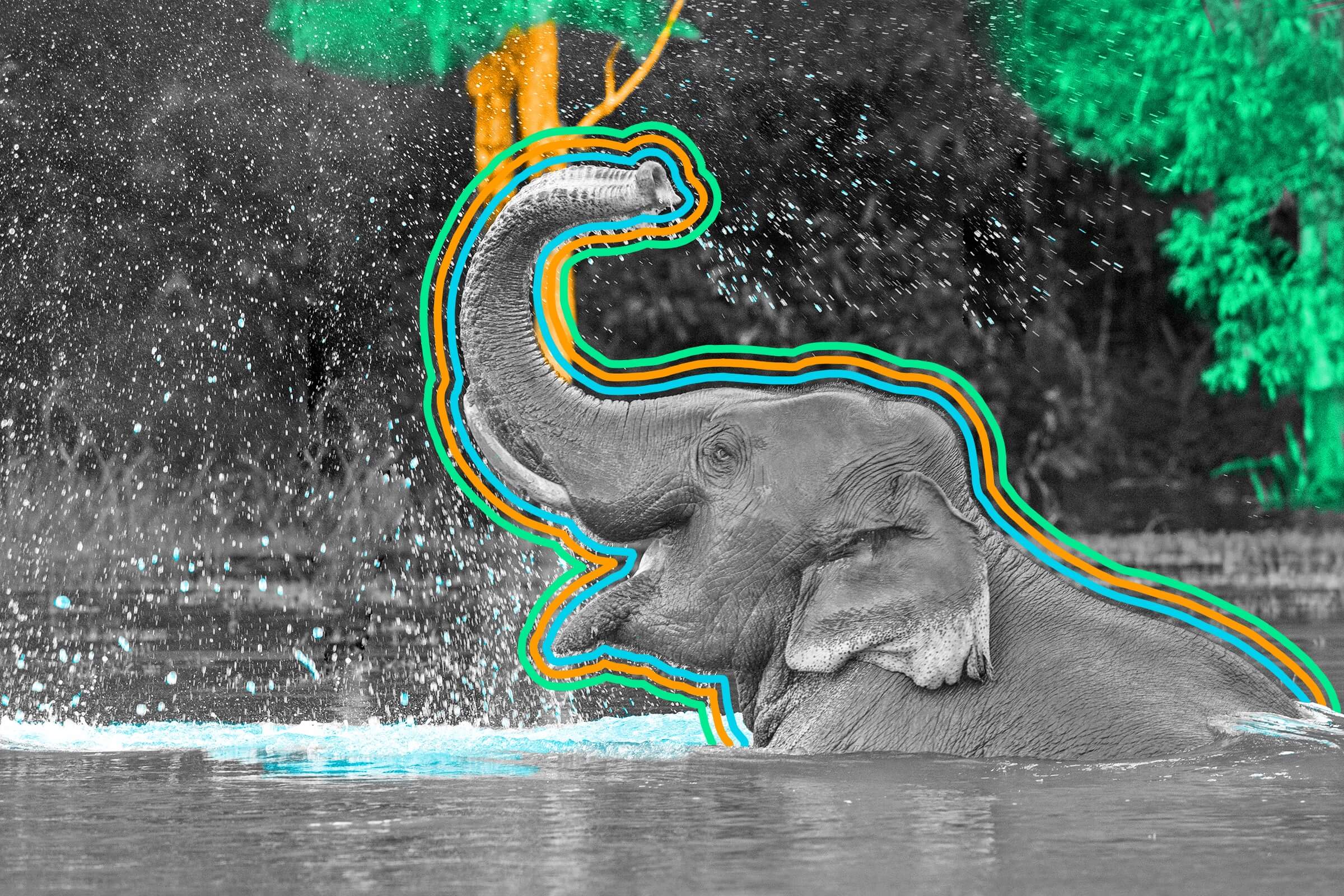 Elephants are matriarchal.