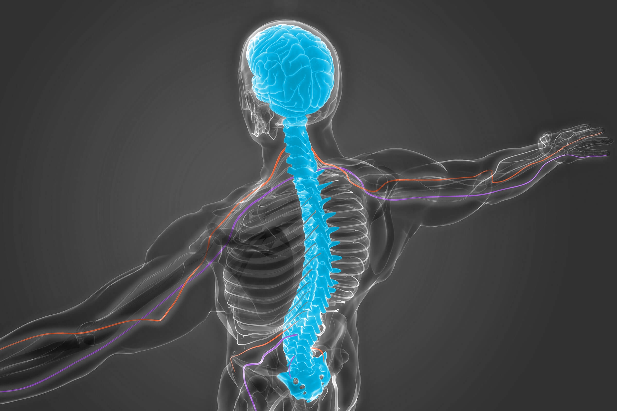 5 Shocking Facts About the Nervous System