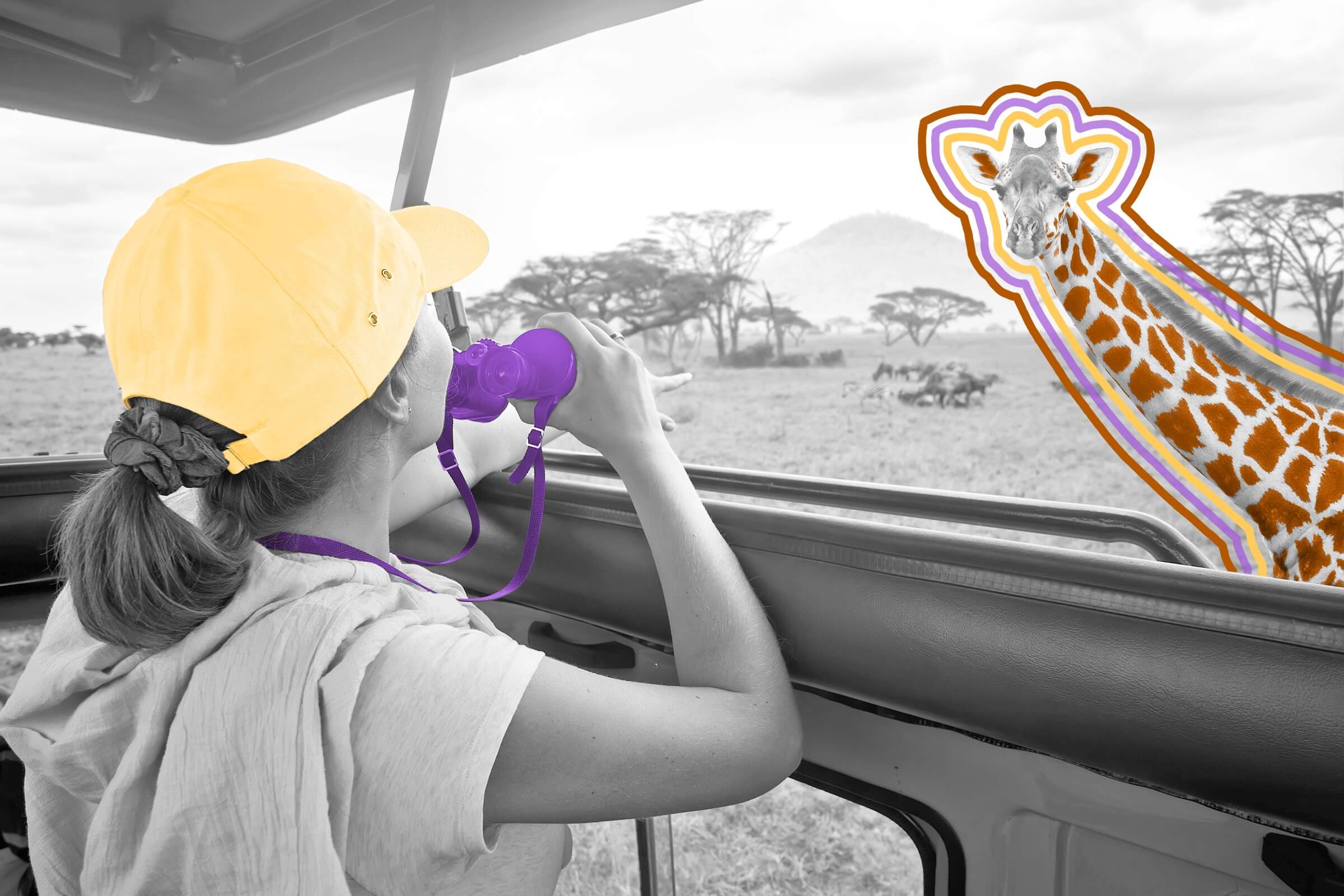 Humans and giraffes have the same number of neck bones.