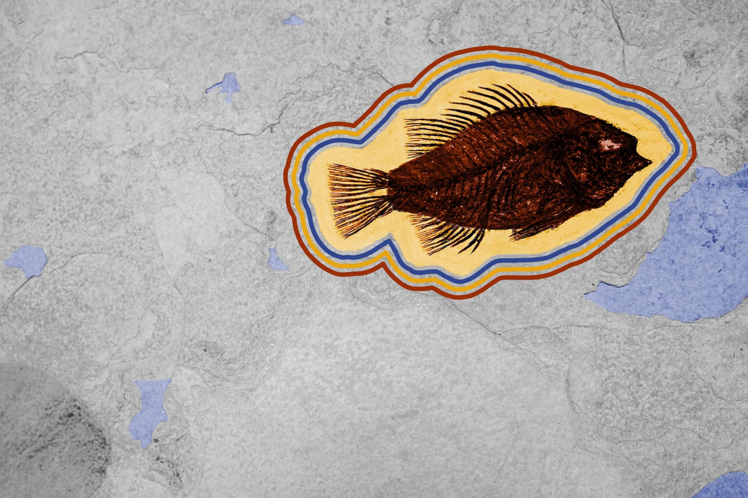 The world’s oldest forest is in New York.