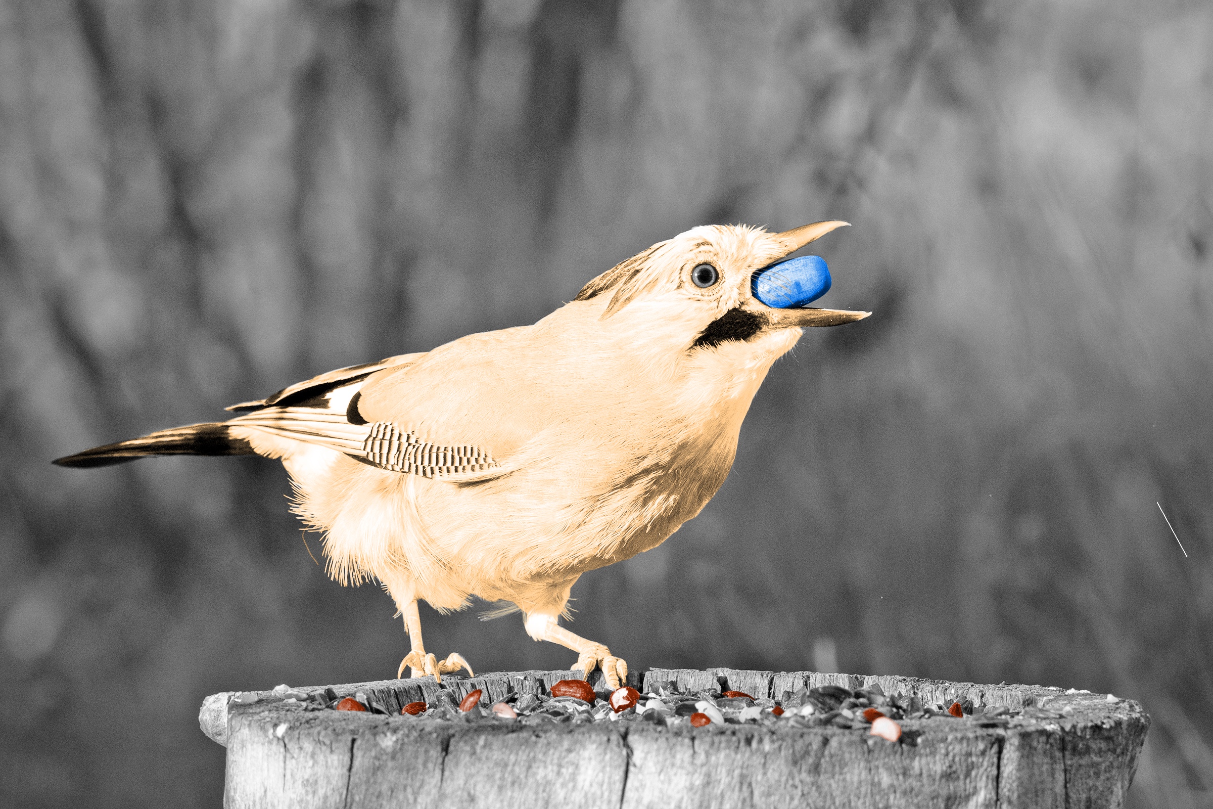 Bird holding food in its beak