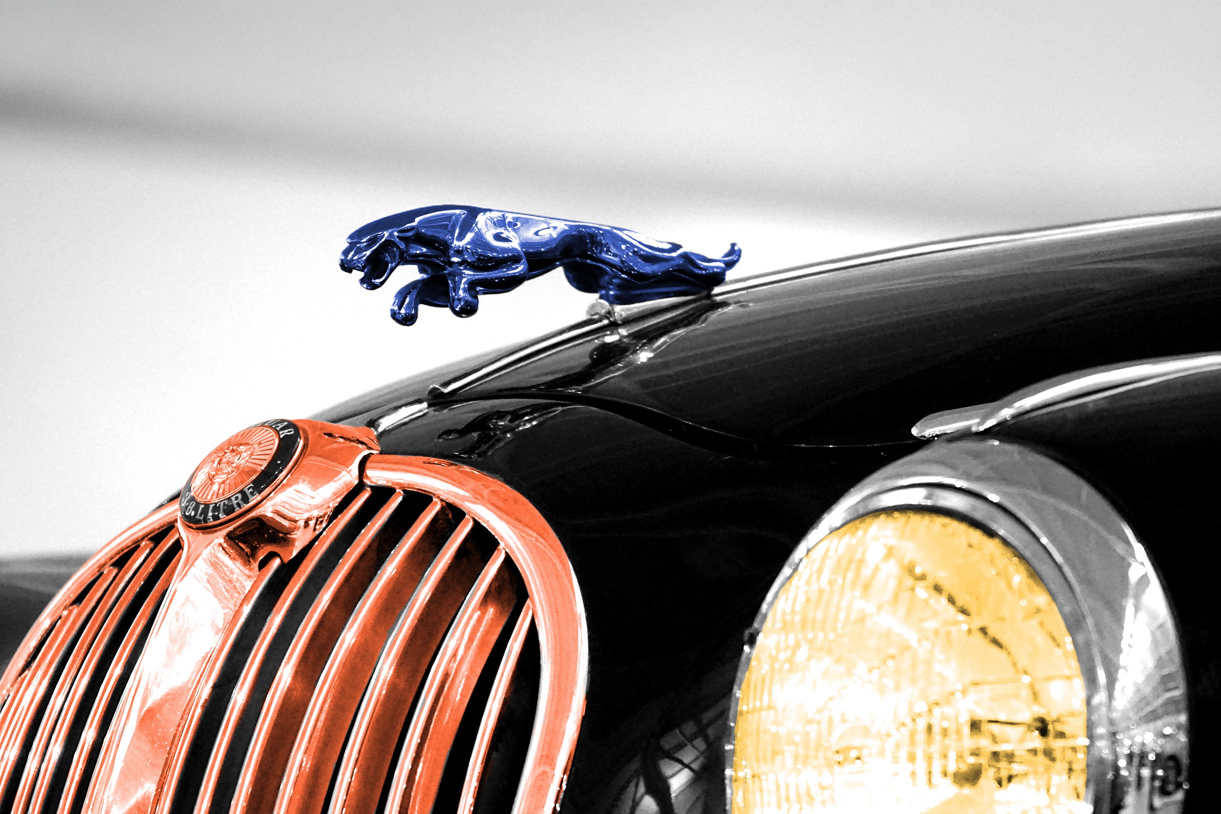 Hood ornament on a Jaguar car