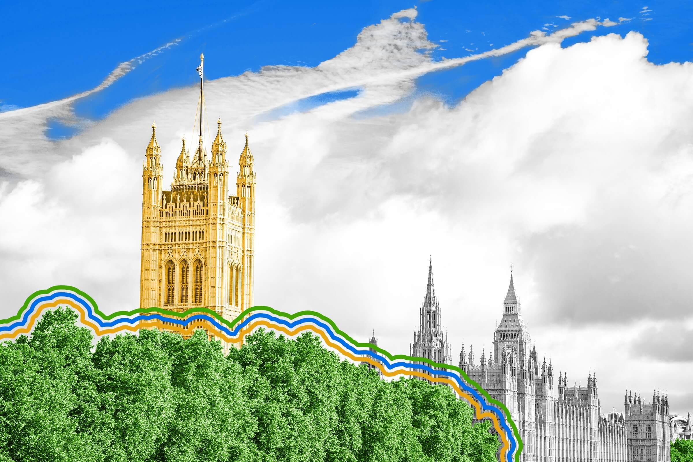 London and New York are each around 20% covered by trees.