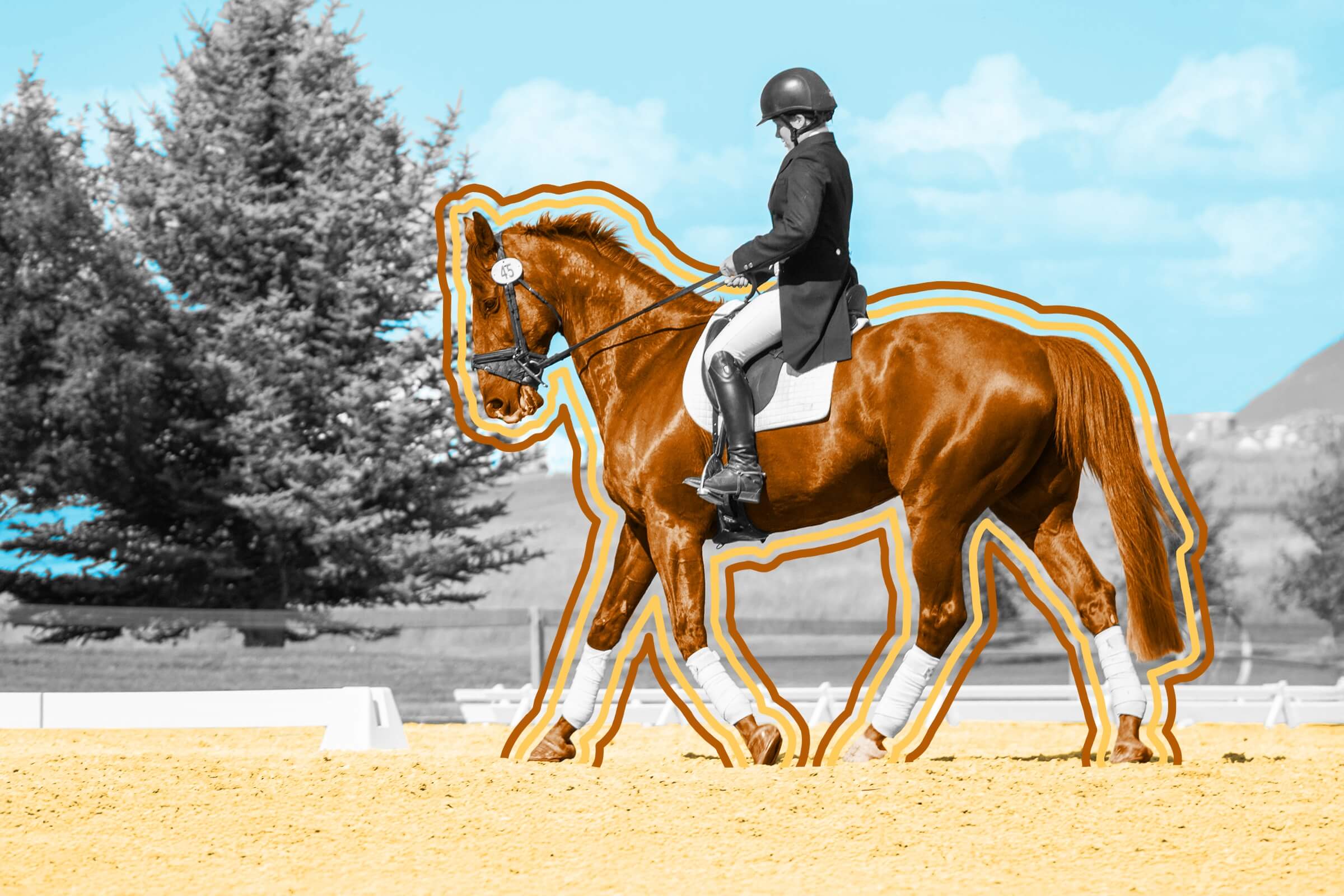 One horse can have up to 15 horsepower.