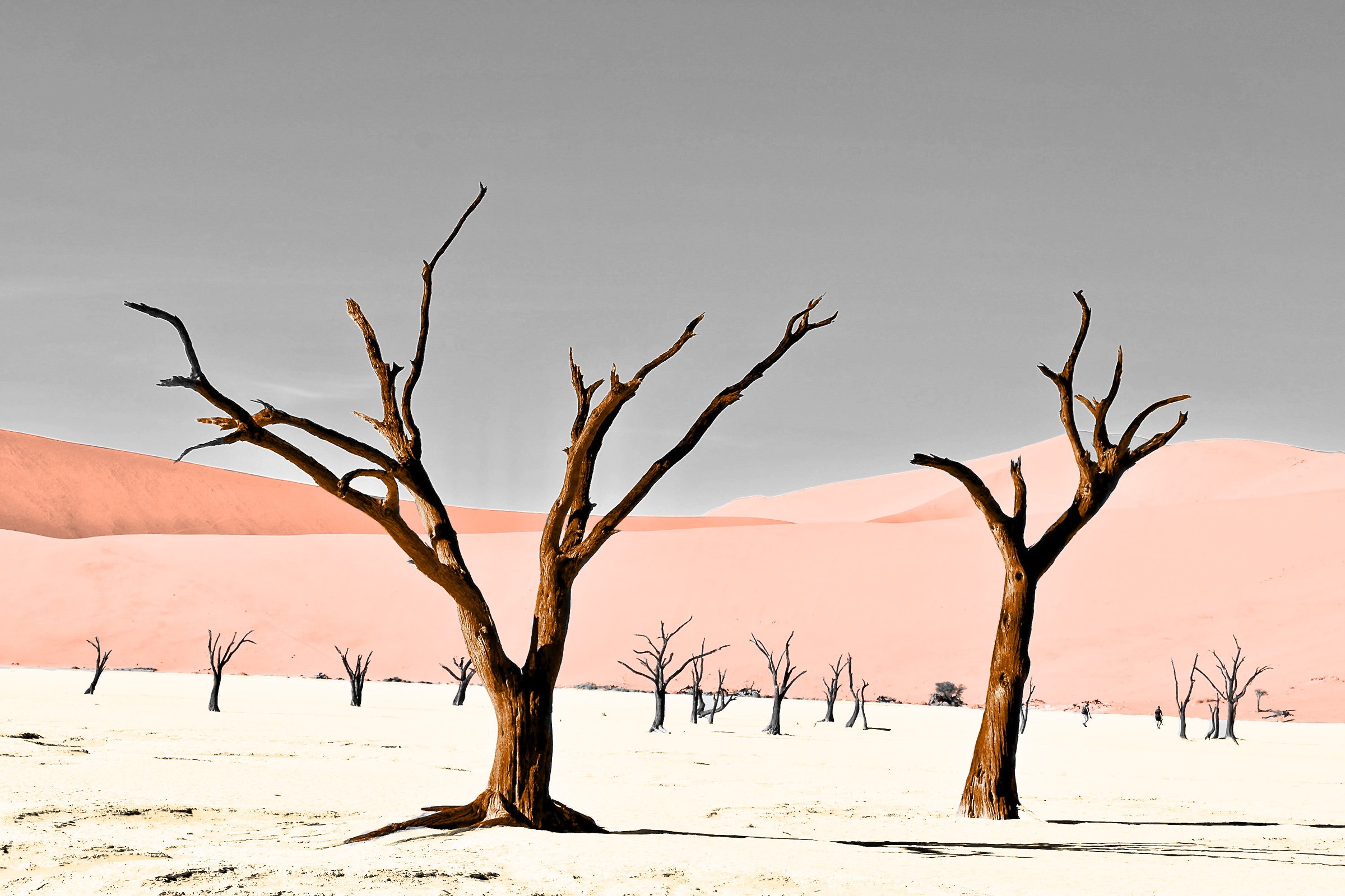 6 Scorching Facts About Deserts