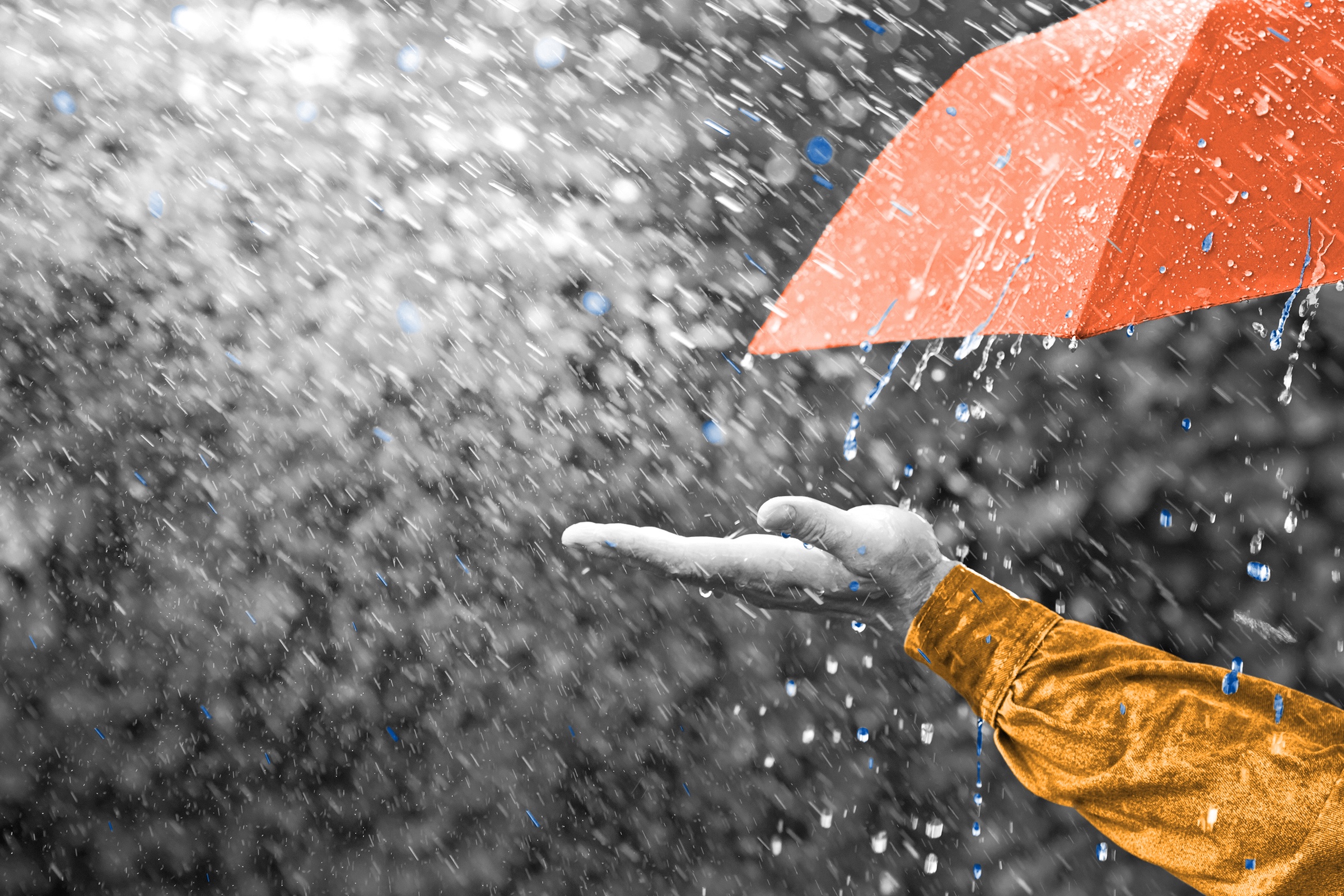 How Meteorologists Predict the Weather