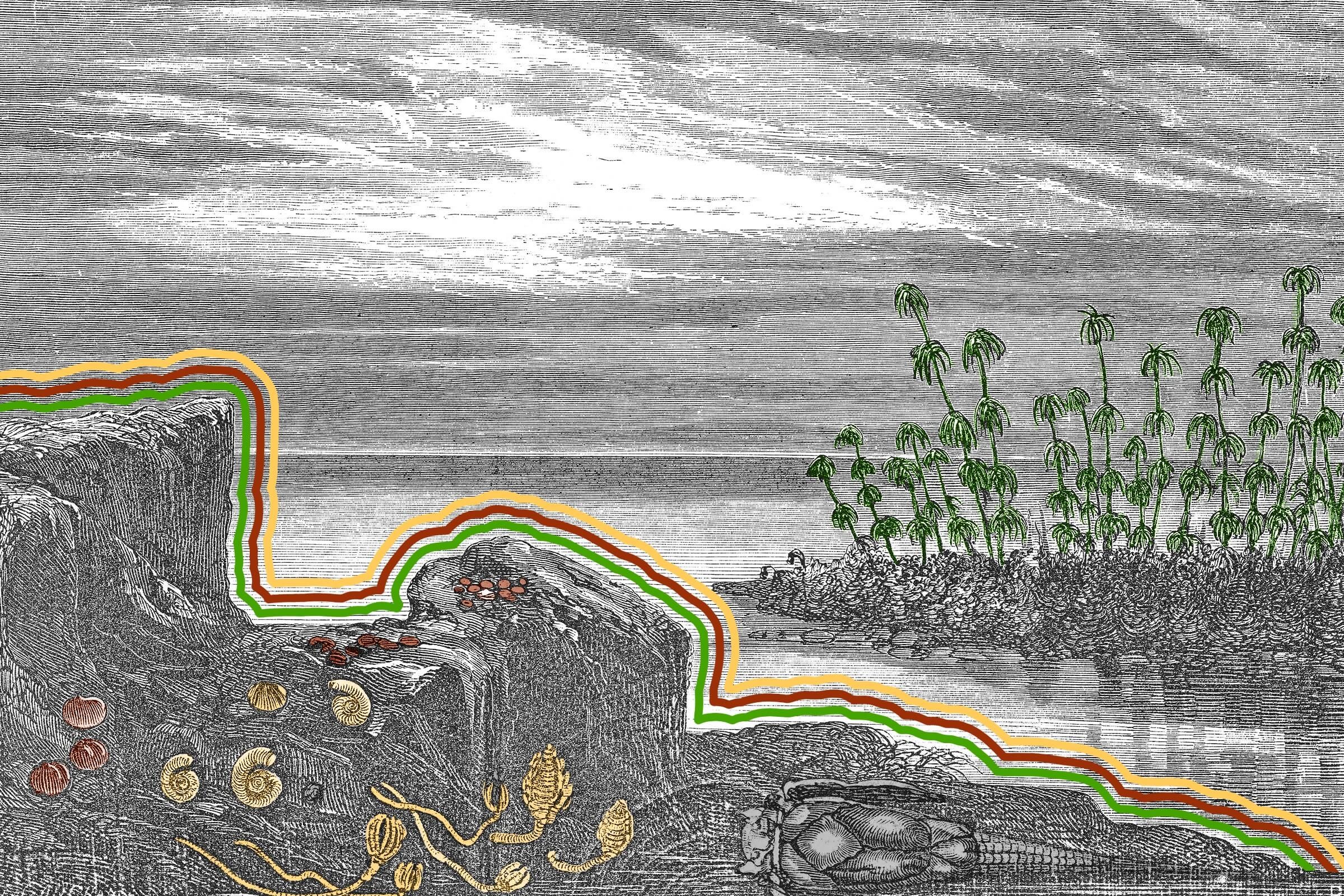 The Earth used to be covered in giant mushroom-like organisms.