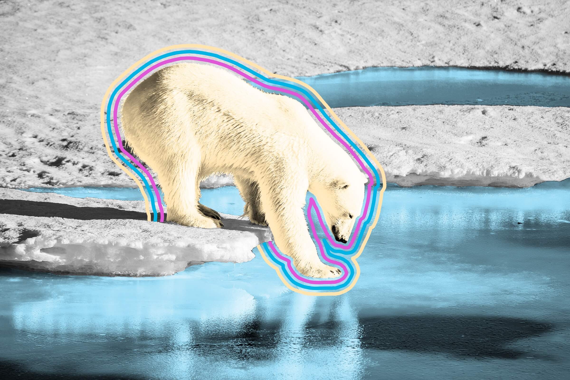 Ice from seawater melts into fresh water.