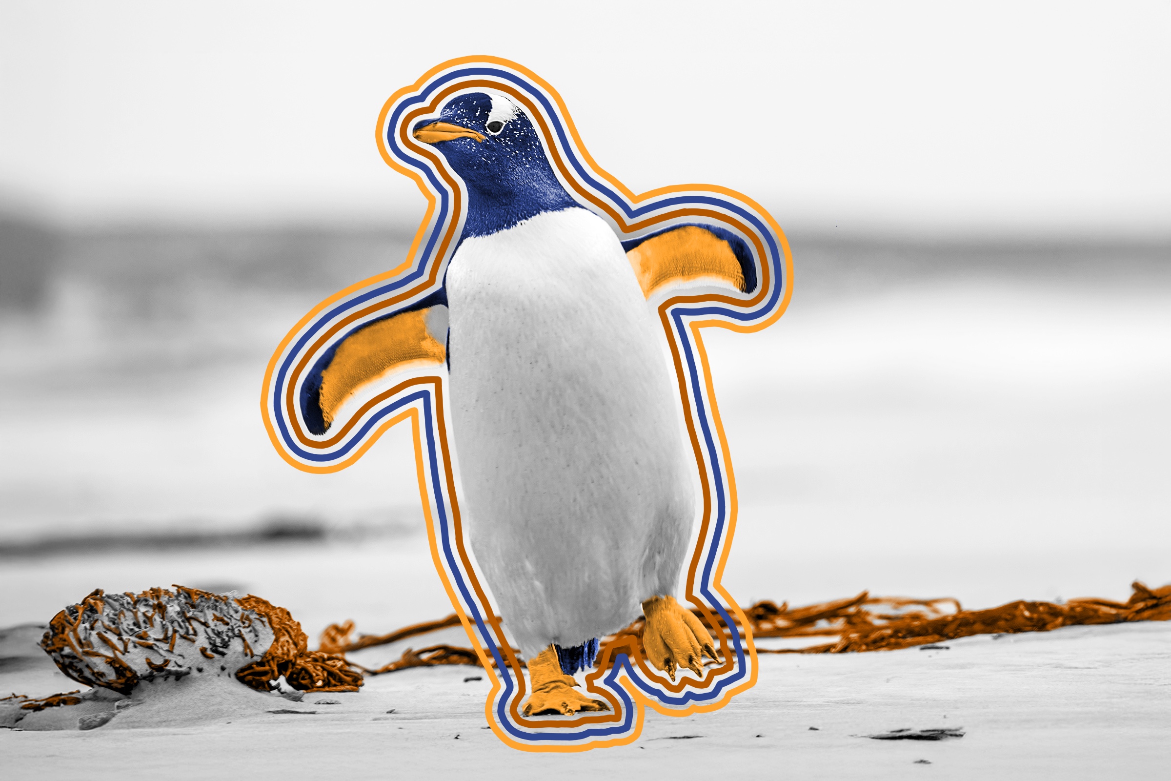 Penguins have knees — you just can’t see them.