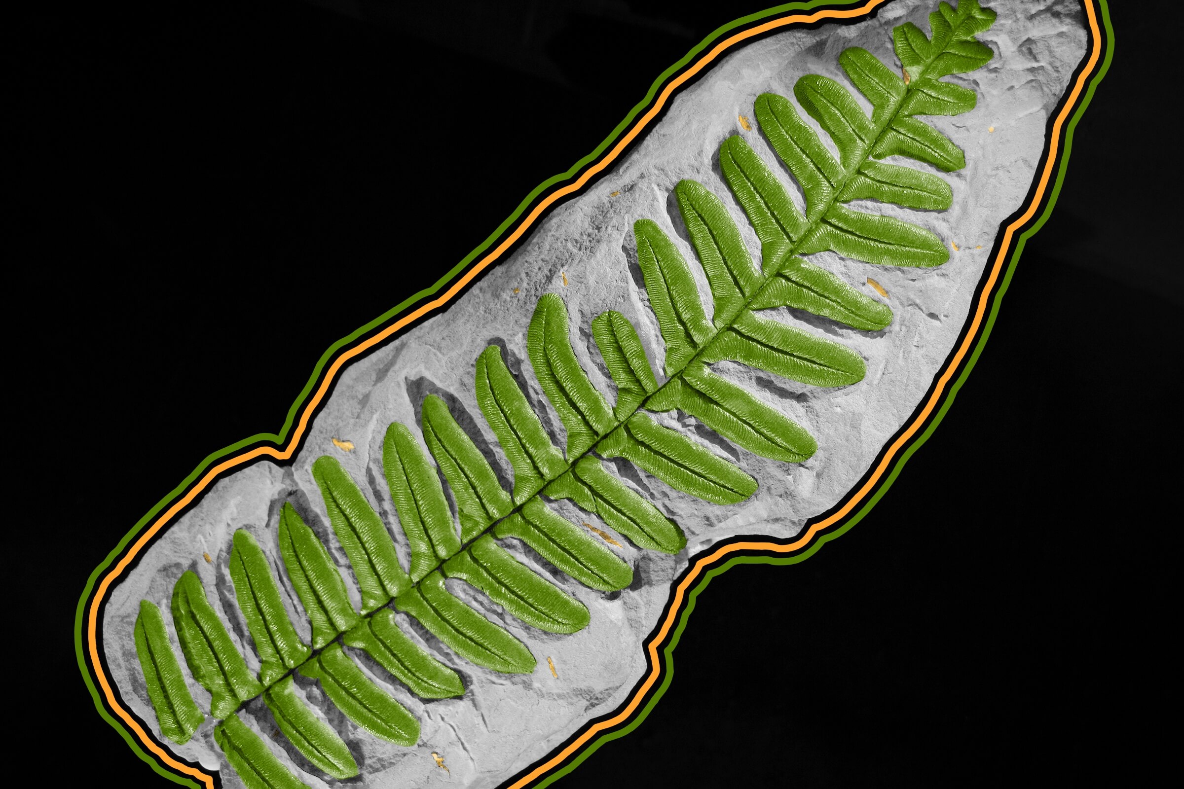 Plants came long before seeds.