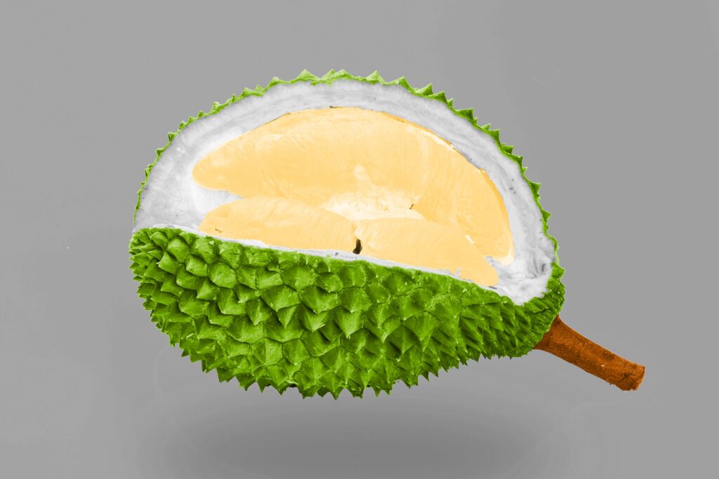 Durian fruit partially cut open