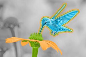 A hummingbird hovering over an orange flower