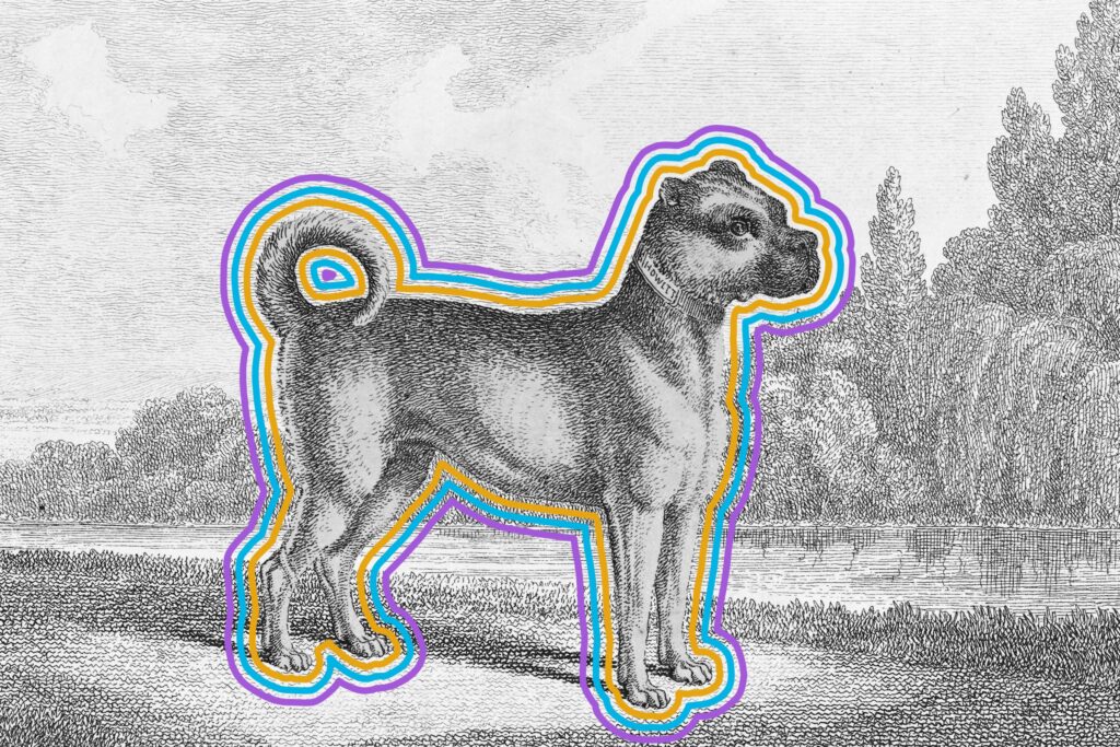 Artwork of pug ancestor