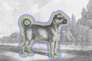Artwork of pug ancestor