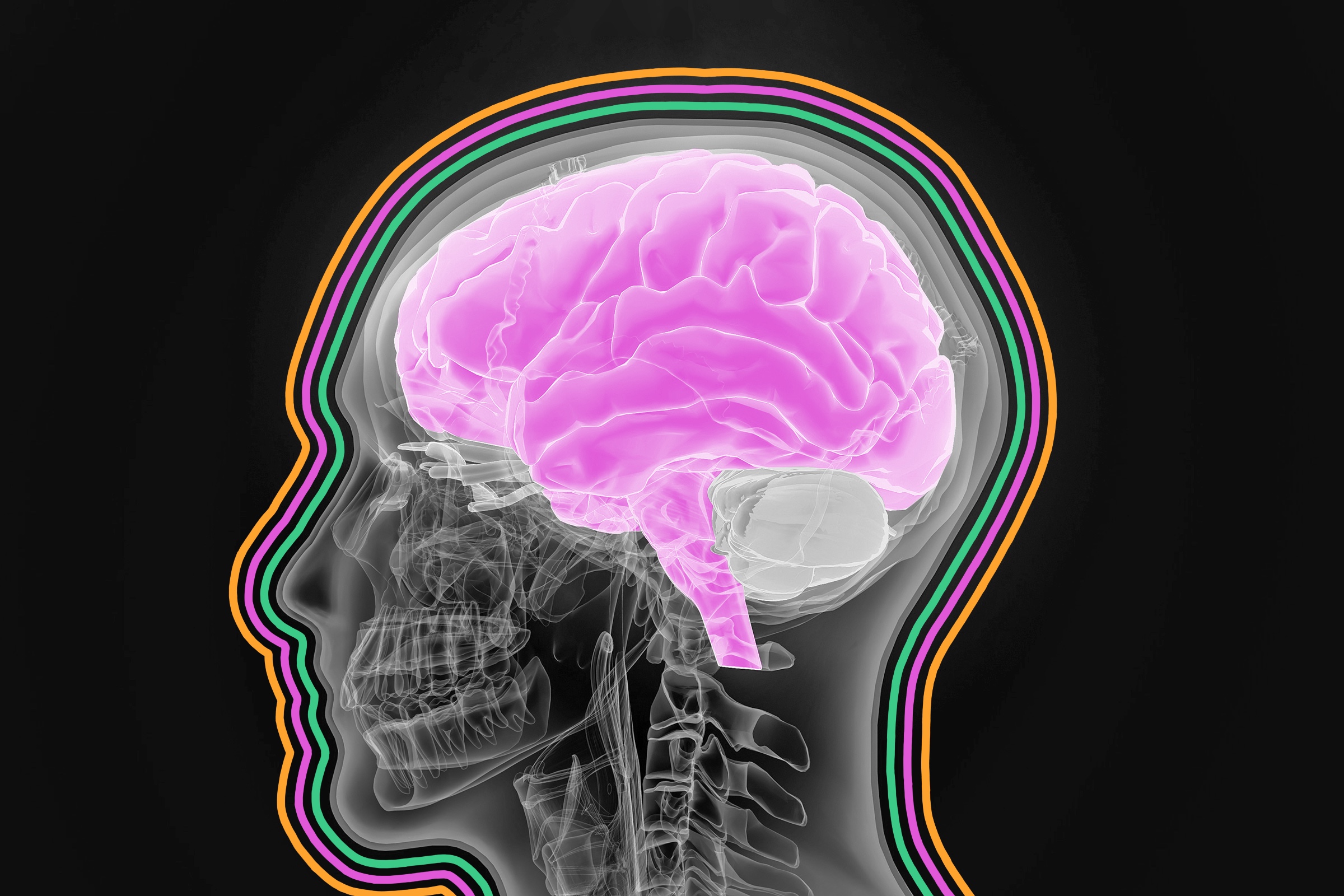 Human brains reach adulthood around age 32.