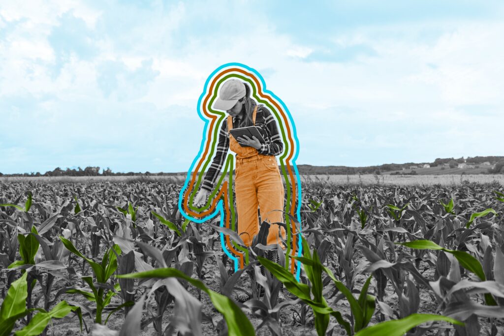 Female agronomist examining leaves of crops and using digital tablet while standing in corn field