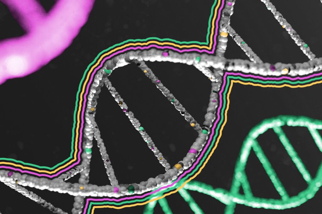 Close-up of human DNA strand